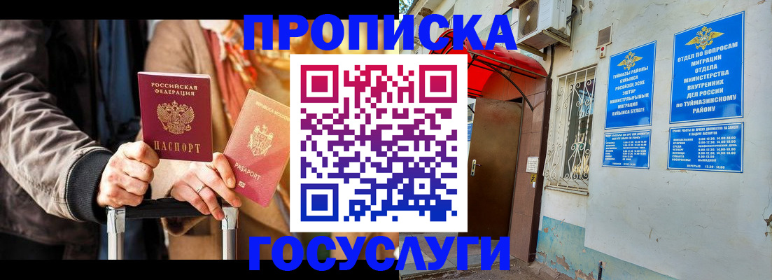 прописка гарантия в Палласовке